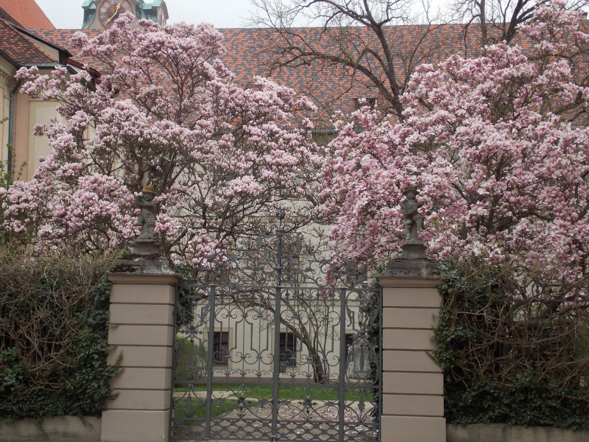 Regensburg: a Unesco World Heritage Site seen on a solo&nbsp;trip