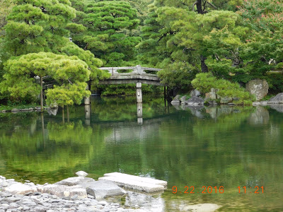 Every leaf in place ………….